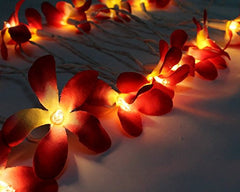 1 Set of 20 LED Deep Red Frangipani Flower Battery String Lights Christmas Gift Home Wedding Party Decoration