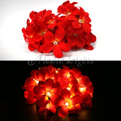 1 Set of 20 LED Deep Red Frangipani Flower Battery String Lights Christmas Gift Home Wedding Party Decoration