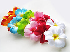 1 Set of 20 LED Tropical Bright Colous Frangipani Flower Battery String Lights Christmas Gift Home Wedding Party