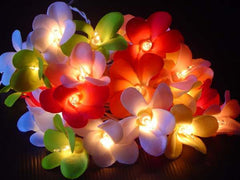 1 Set of 20 LED Tropical Bright Colous Frangipani Flower Battery String Lights Christmas Gift Home Wedding Party