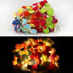 1 Set of 20 LED Tropical Bright Colous Frangipani Flower Battery String Lights Christmas Gift Home Wedding Party