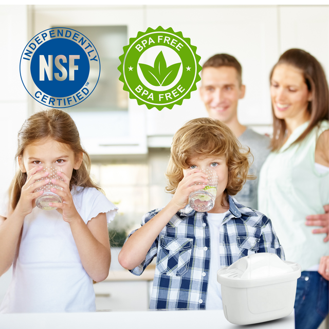 Hygieia 6 Pack - Water Jug Cartridge Filters - For Most Brita Water Jugs