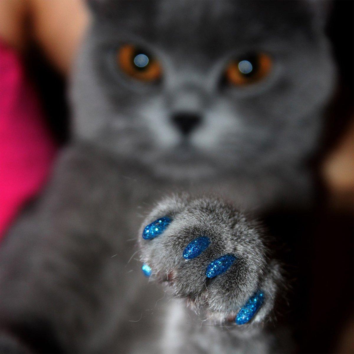 100PCS Anti Scratch Paw Covers for Cats and Kittens Nail Protector Soft Paw - Flat-XS