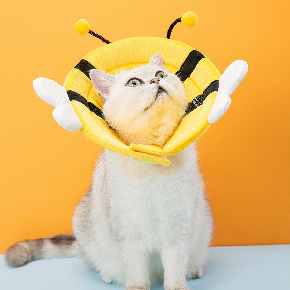 Elizabeth Circle Cat Sterilization Collar Anti-Licking Pet Scarf for Cat and Dog - Orange Carrot-M
