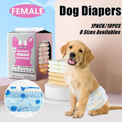 Disposable Female Dog Diapers Leakproof Breathable with Colour Indicator - L 34-54cm