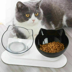 Double Cat Dog Bowl Elevated Pet Feeder Stand Raised Food Water Feeding Dish - Black+Black