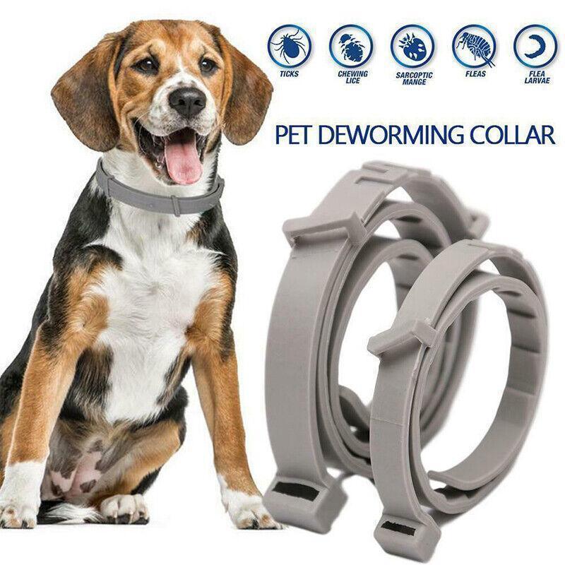 Adjustable Flea and Tick Collar for Dogs and Cats with Natural Repellent - Grey