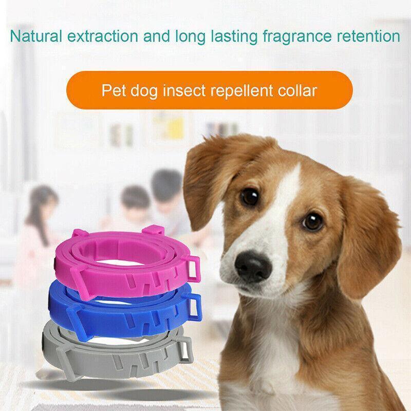 Adjustable Flea and Tick Collar for Dogs and Cats with Natural Repellent - Grey
