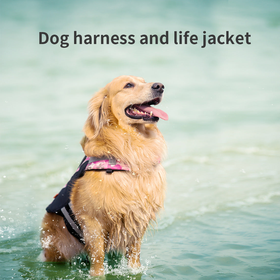 Ondoing Dog Life Jacket Lifesaver Pet Safety Vest Swimming Boating Float Aid Buoyancy-NT_Metro