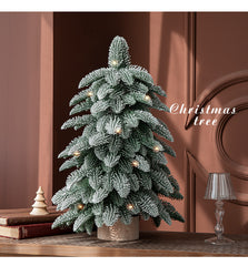 55cm Frosted Mini Christmas Tree ‰ۡÌÝÌÕ Snow-Covered Indoor Holiday Decoration