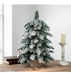 55cm Frosted Mini Christmas Tree ‰ۡÌÝÌÕ Snow-Covered Indoor Holiday Decoration