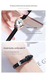 Rose shell white plate black belt Delicate Women's Watch - 20mm Roman Numeral Dial, Leather Strap