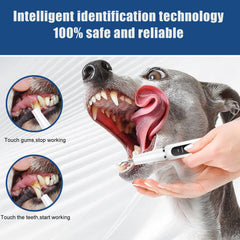 White Professional Pet Dental Cleaning Kit - Ultrasonic Scaler, Tools & 3 Modes