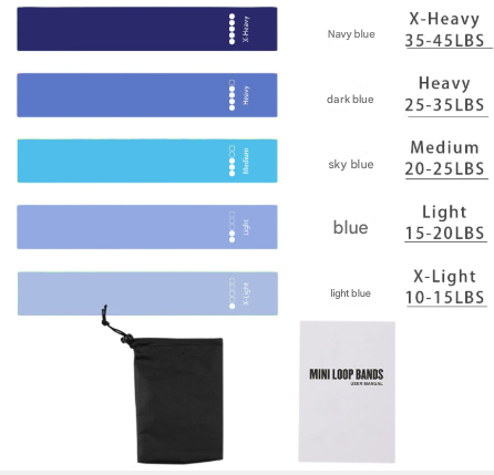 Blue 10 Pieces of 2 Sets Premium Resistance Loop Bands - Fitness Exercise Bands for Legs, Glutes, and Strength Training with Carry Bag