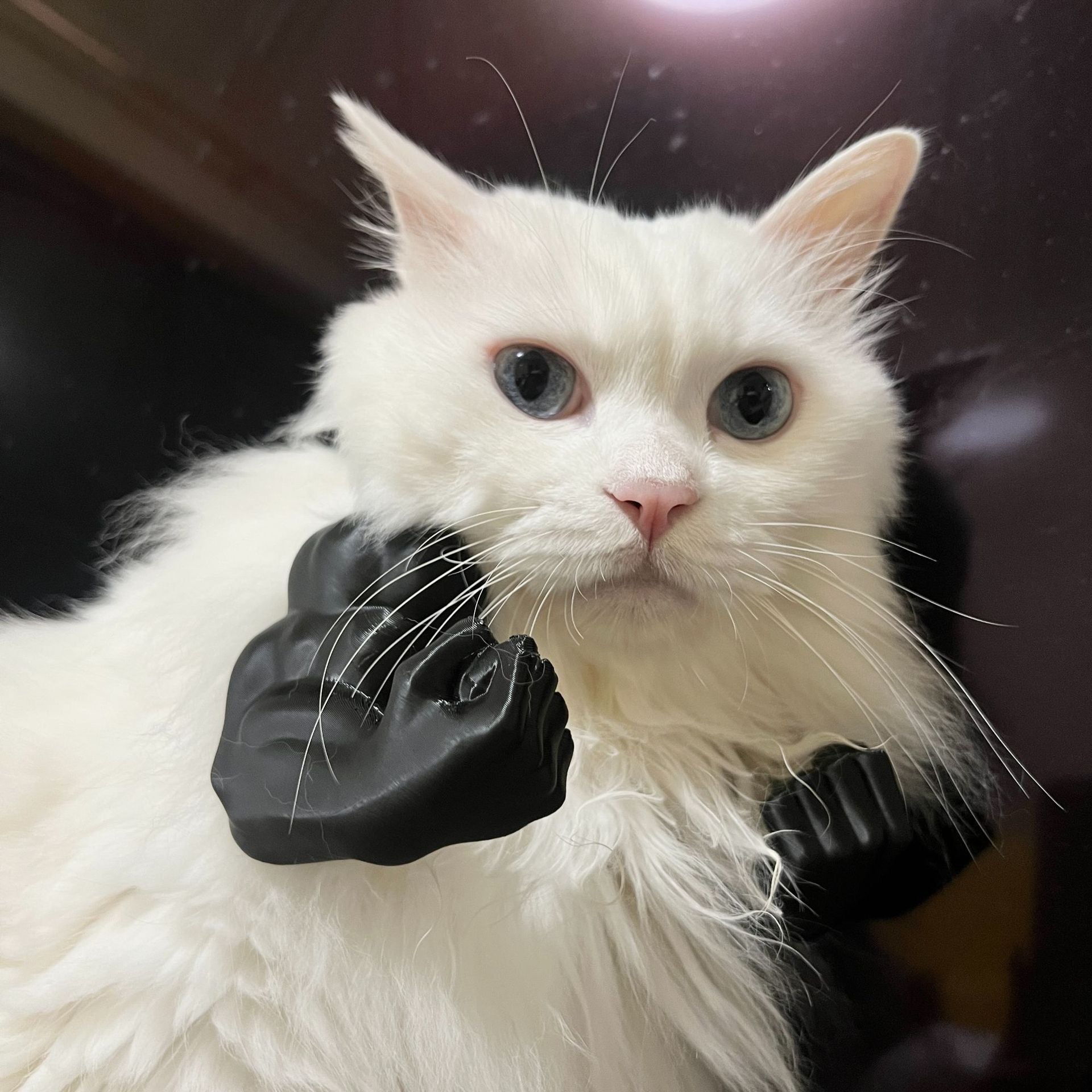 2pc Hilarious Muscle Arm Pet Costume Prop - Funny Novelty Arms for Cats & Small Dogs(black)