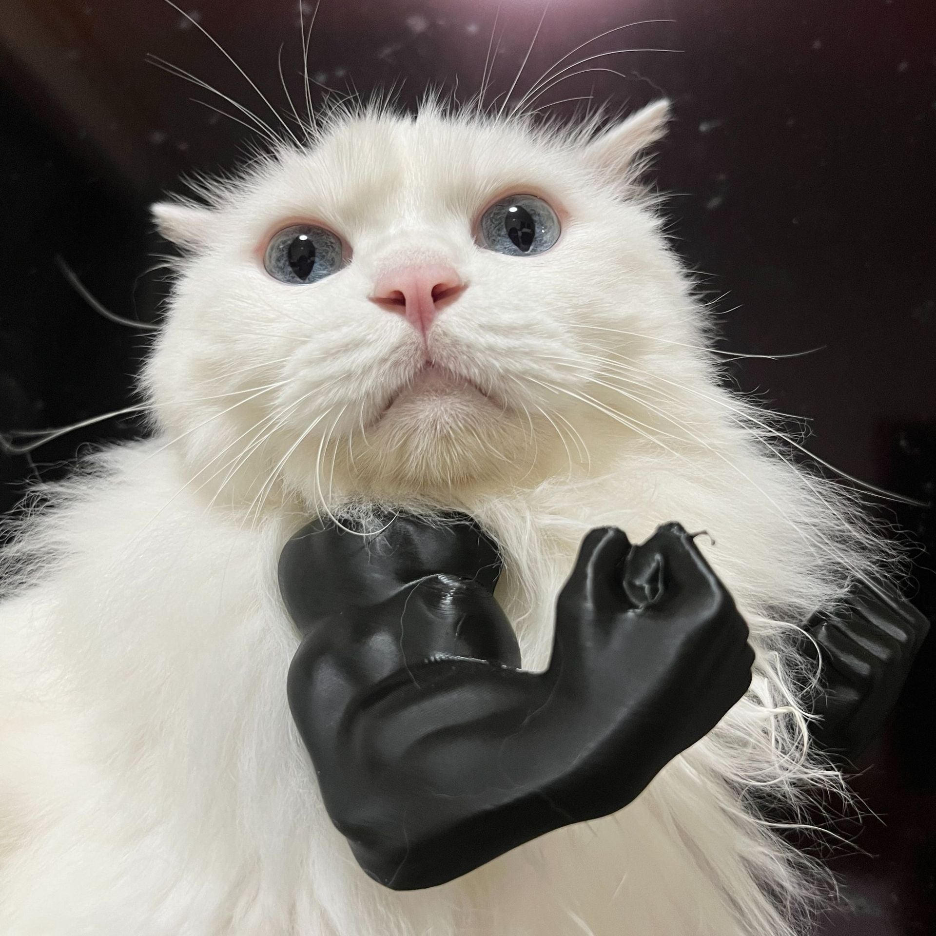 2pc Hilarious Muscle Arm Pet Costume Prop - Funny Novelty Arms for Cats & Small Dogs(black)