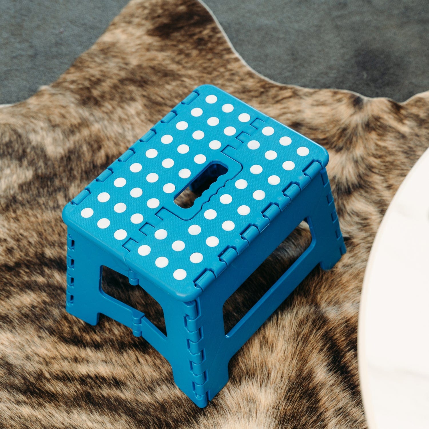 Plastic Folding Stool Portable Chair Outdoor Camping Blue