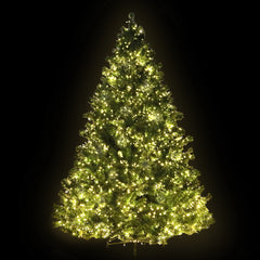 Jingle Jollys Christmas Tree 2.1M Xmas Tree Decorations 3000 LEDs 8 Light Mode-WA_Rural