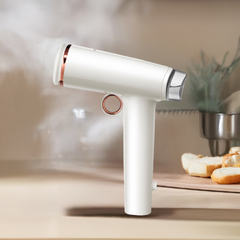 Morphy Richards Garment Steamer