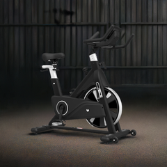 Lifespan Fitness SM810 Commercial Spin Bike-REMOTE