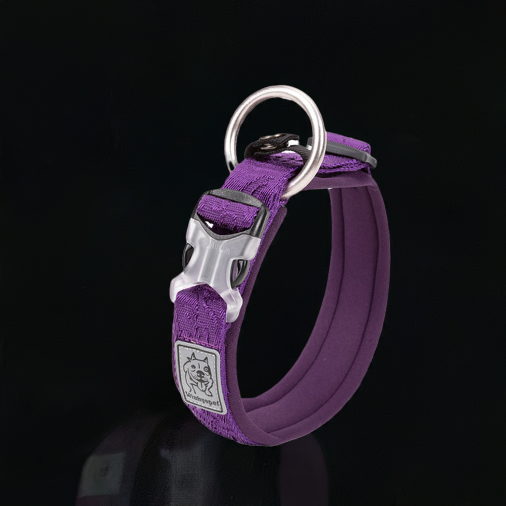 Whinhyepet Collar purple - 2XS