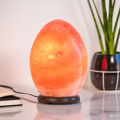 12V 12W Egg Himalayan Pink Salt Lamp Carved Rock Crystal Light Bulb On/Off Switch