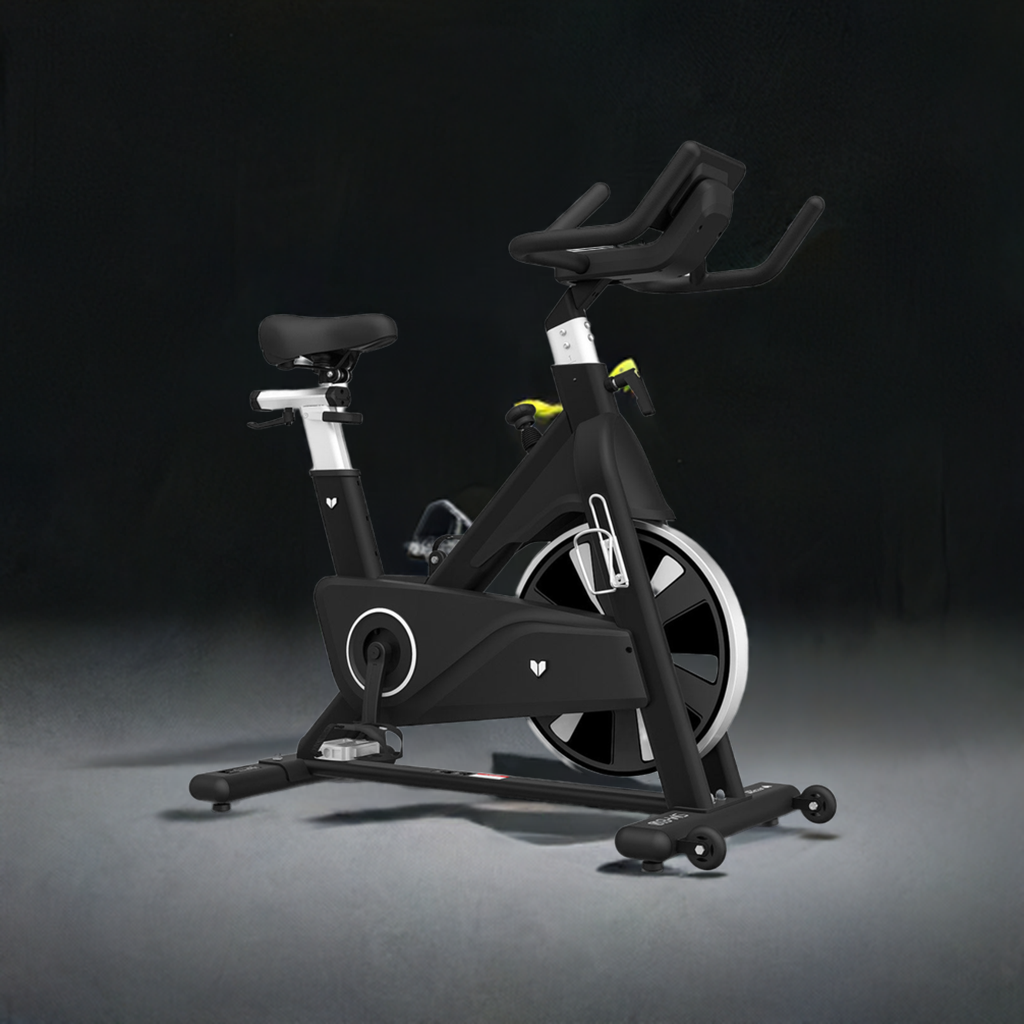 Lifespan Fitness SM810 Commercial Spin Bike-REMOTE