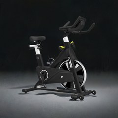 Lifespan Fitness SM810 Commercial Spin Bike-REMOTE